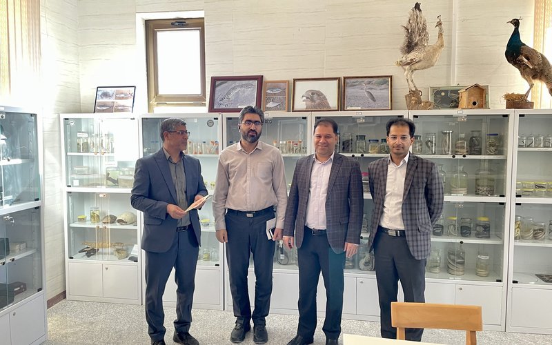 کتابخانه هفتم